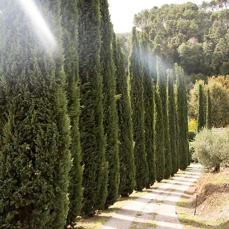 Villa Casale Mola *